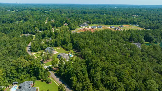 a view of a lush green field with lots of bushes