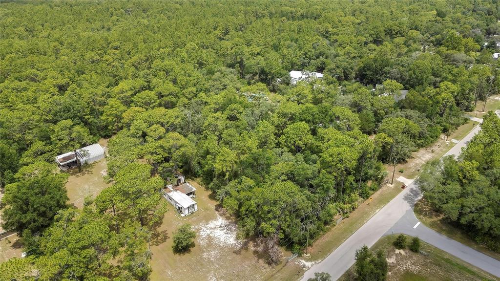 1672 South Colonial Avenue Homosassa, FL 34448 - Photo 2 of 10 a view of a yard with plants