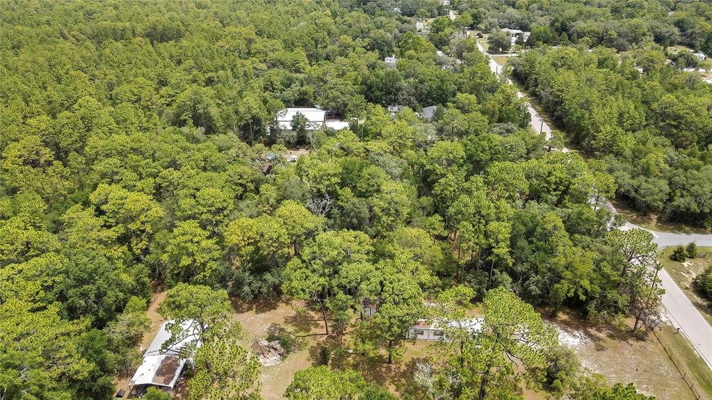 1672 South Colonial Avenue Homosassa, FL 34448 - Photo 3 of 10 a view of a forest with a houses