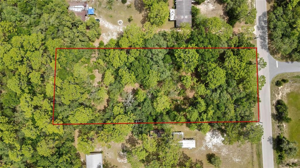 1672 South Colonial Avenue Homosassa, FL 34448 - Photo 4 of 10