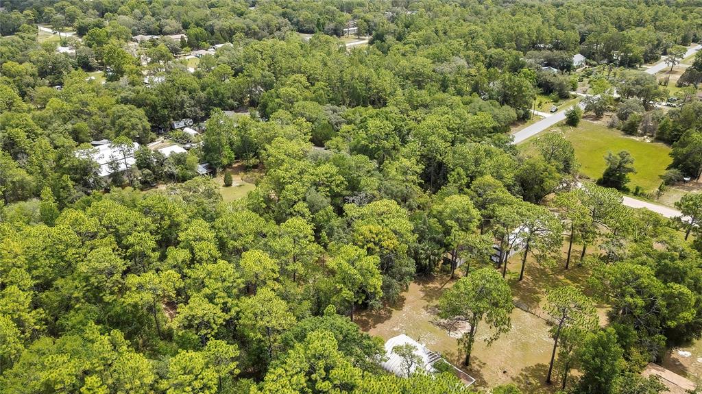 1672 South Colonial Avenue Homosassa, FL 34448 - Photo 5 of 10 a view of a house with a lush green forest