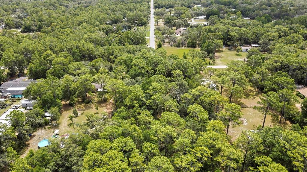1672 South Colonial Avenue Homosassa, FL 34448 - Photo 6 of 10 a view of a house with a lush green forest