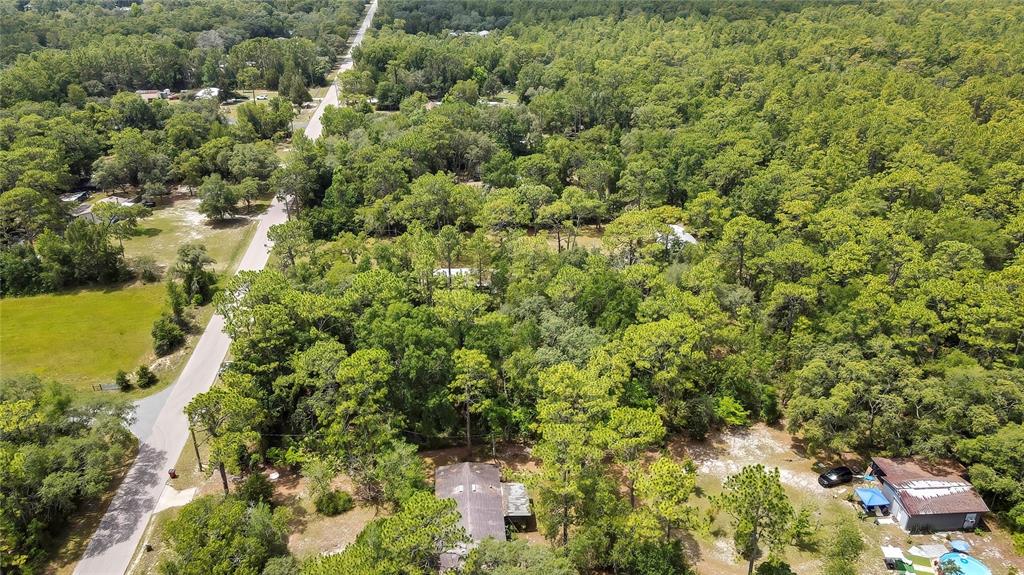1672 South Colonial Avenue Homosassa, FL 34448 - Photo 8 of 10 an aerial view of residential houses with outdoor space and trees