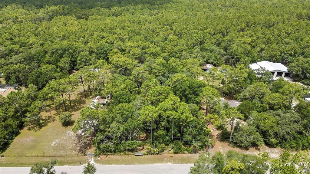 1672 South Colonial Avenue Homosassa, FL 34448 - Photo 10 of 10 a view of a yard