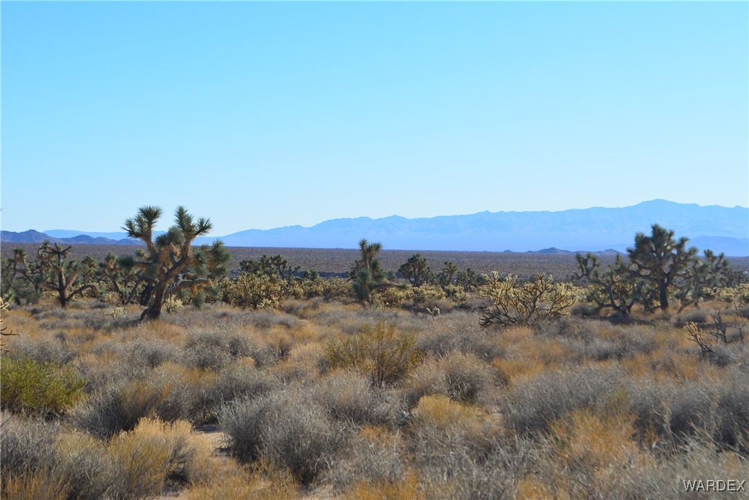 11900 Alan Road Yucca, AZ 86438 - Photo 15 of 99 Gallery Image 15
