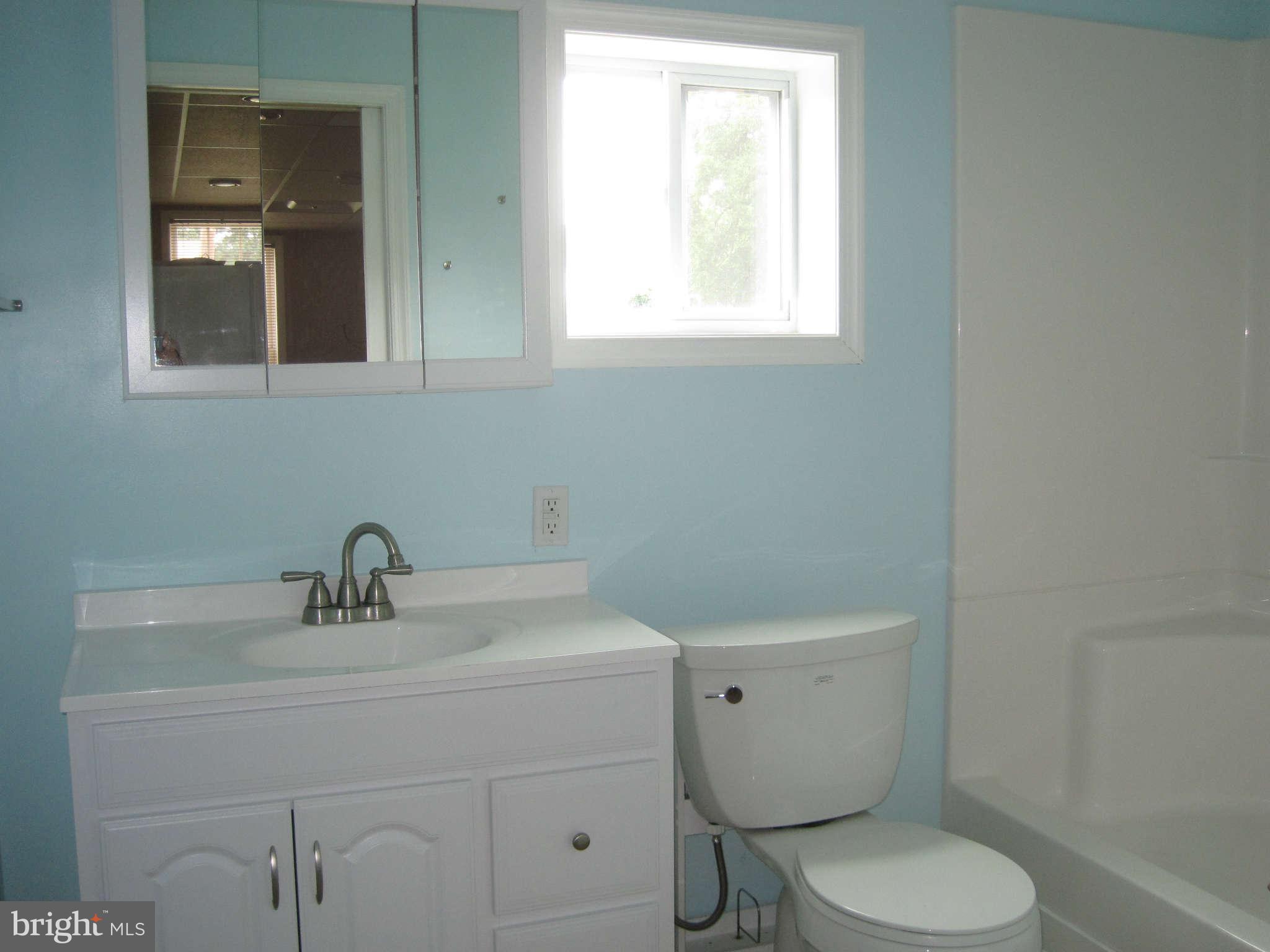 111 West 6th Avenue Ranson, WV 25438 - Photo 14 of 14 Bath on Lower Level