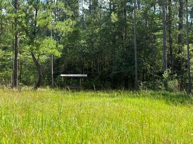 0 Elmer Hamilton Road Moss Point, MS 39562 - Photo 14 of 22 Gallery Image 14