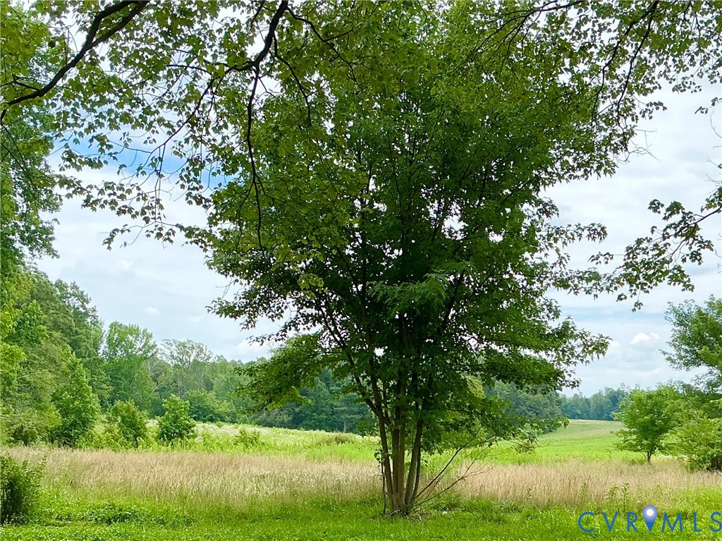 15618 Cross County Road Mineral, VA 23117 - Photo 7 of 31