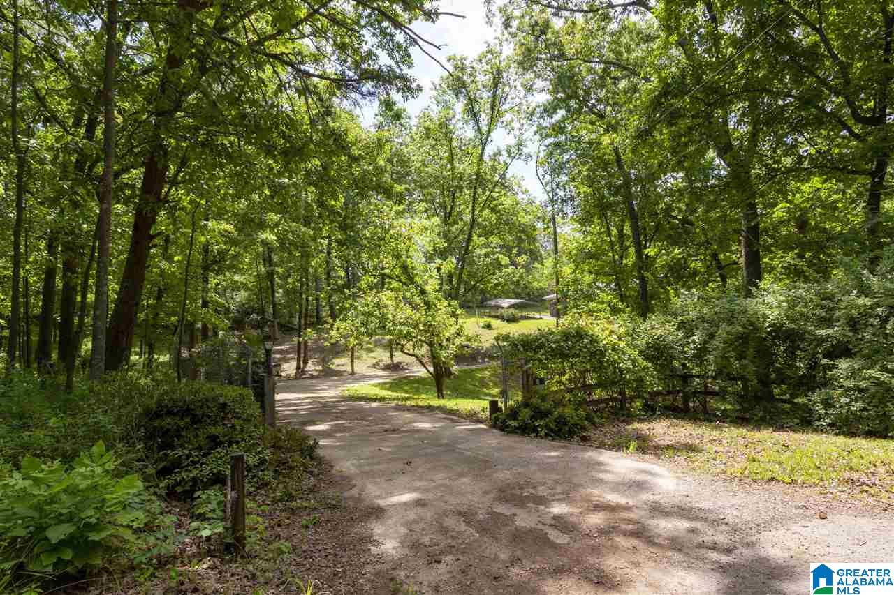 1800 Chenoor Road Birmingham, AL 35217 - Photo 5 of 36
