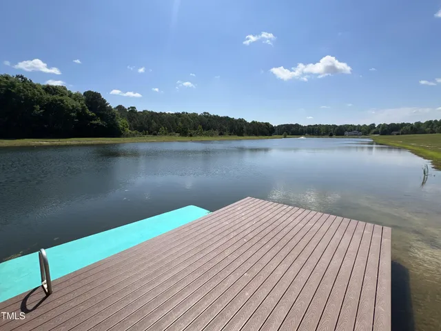 a garden covered with large trees