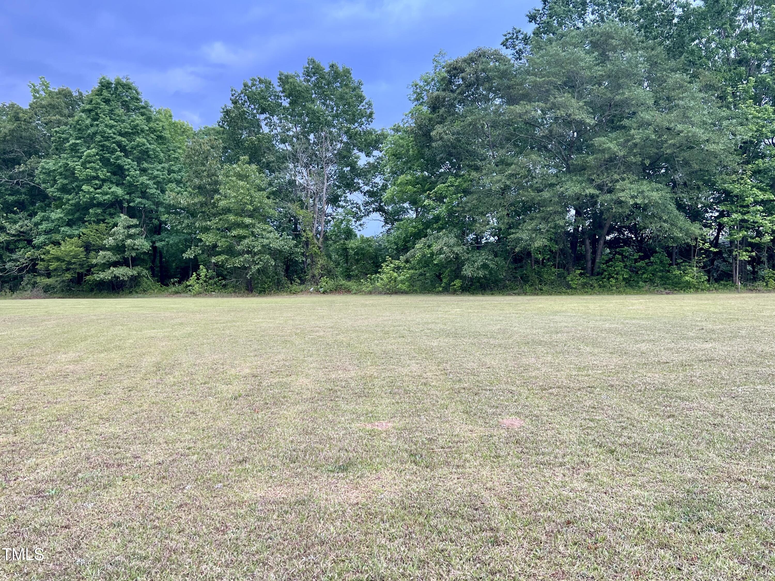 684 Lake Magnolia Way Smithfield, NC 27577 - Photo 2 of 19 a view of with green field