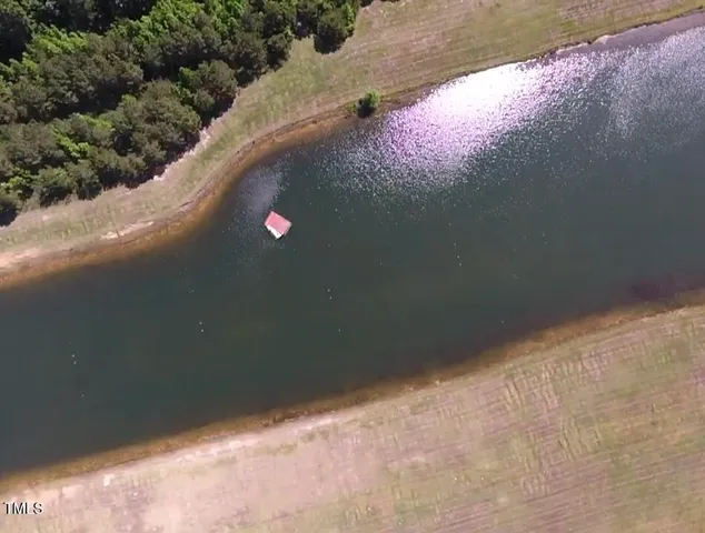 a view of a yard with plants