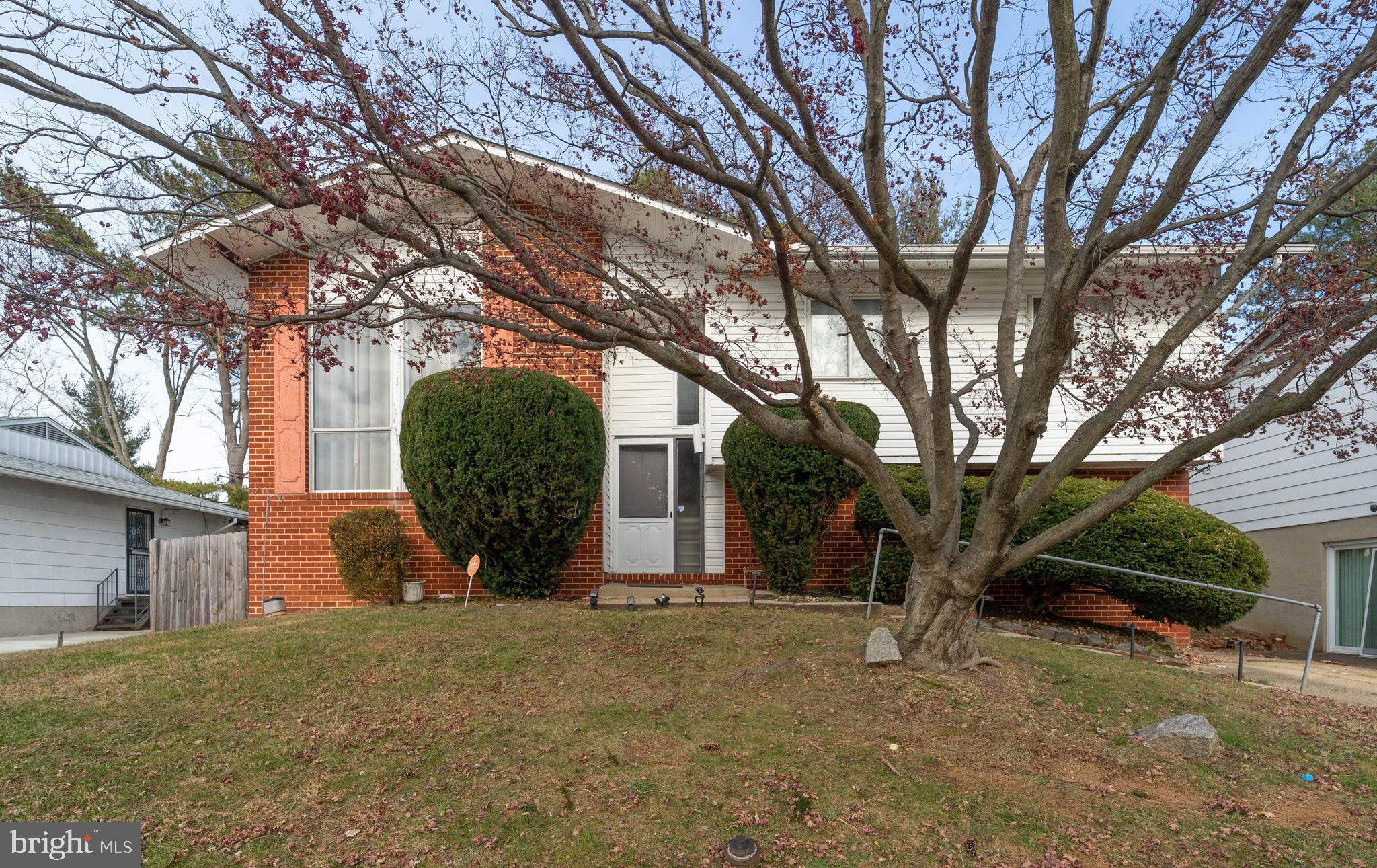 a view of a house with a tree and a yard