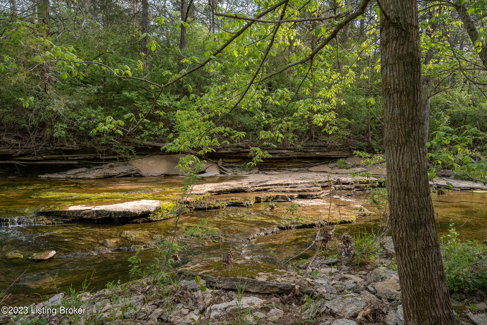 7962 Plum Run Road Bloomfield, KY 40008 - Photo 58 of 66 7962 Plum Run Rd-24