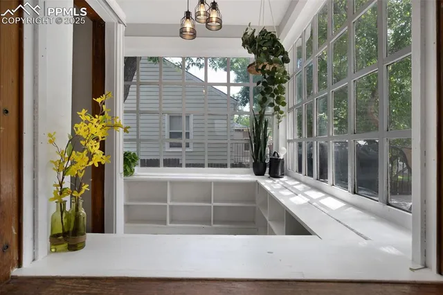 a view of backyard with a potted plant