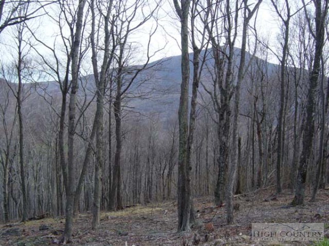 2 Proffit Road Boone, NC 28607 - Photo 3 of 6 Gallery Image 3