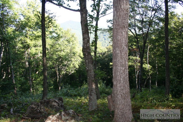 2 Proffit Road Boone, NC 28607 - Photo 4 of 6 Gallery Image 4