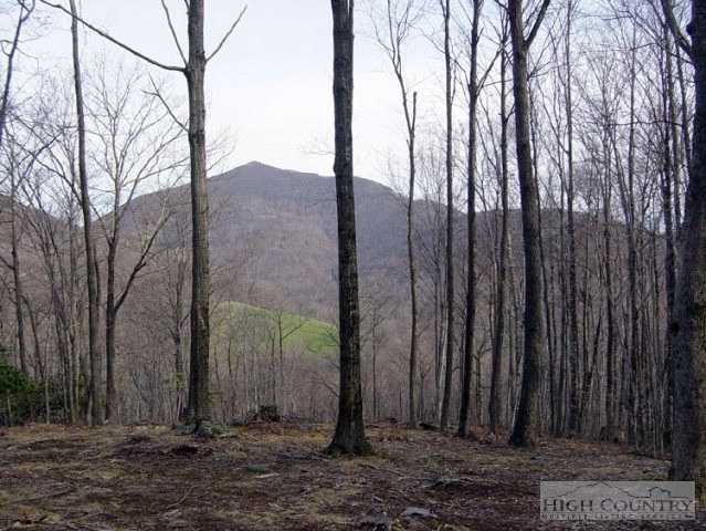 2 Proffit Road Boone, NC 28607 - Photo 5 of 6 Gallery Image 5
