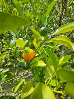 $499,995 | 7720 Riverdale Road, St. Augustine, FL 32092