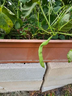 $499,995 | 7720 Riverdale Road, St. Augustine, FL 32092