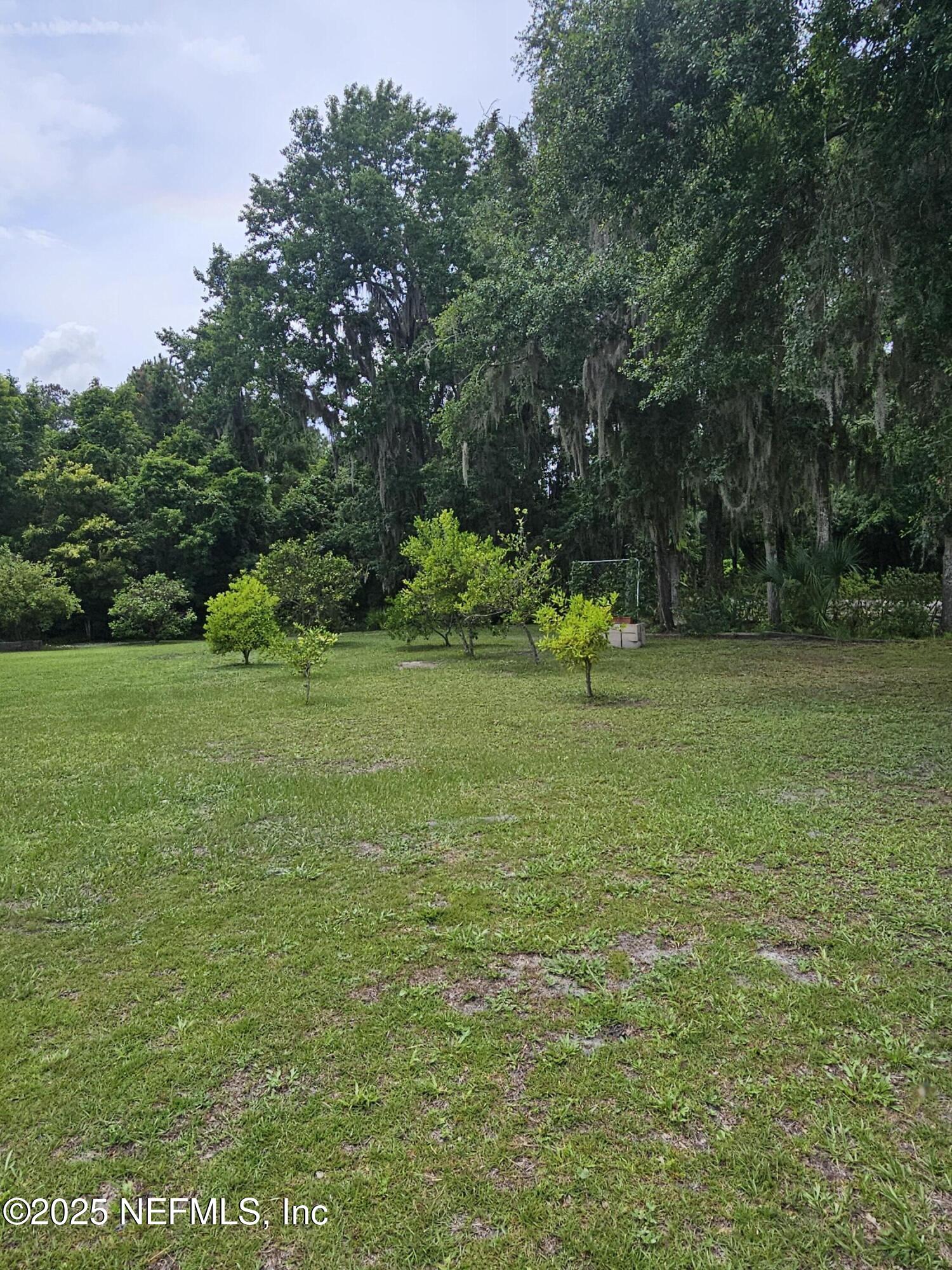 7720 Riverdale Road St. Augustine, FL 32092 - Photo 52 of 60 a view of a field with trees in the background