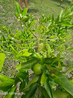 $499,995 | 7720 Riverdale Road, St. Augustine, FL 32092