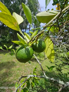 $499,995 | 7720 Riverdale Road, St. Augustine, FL 32092