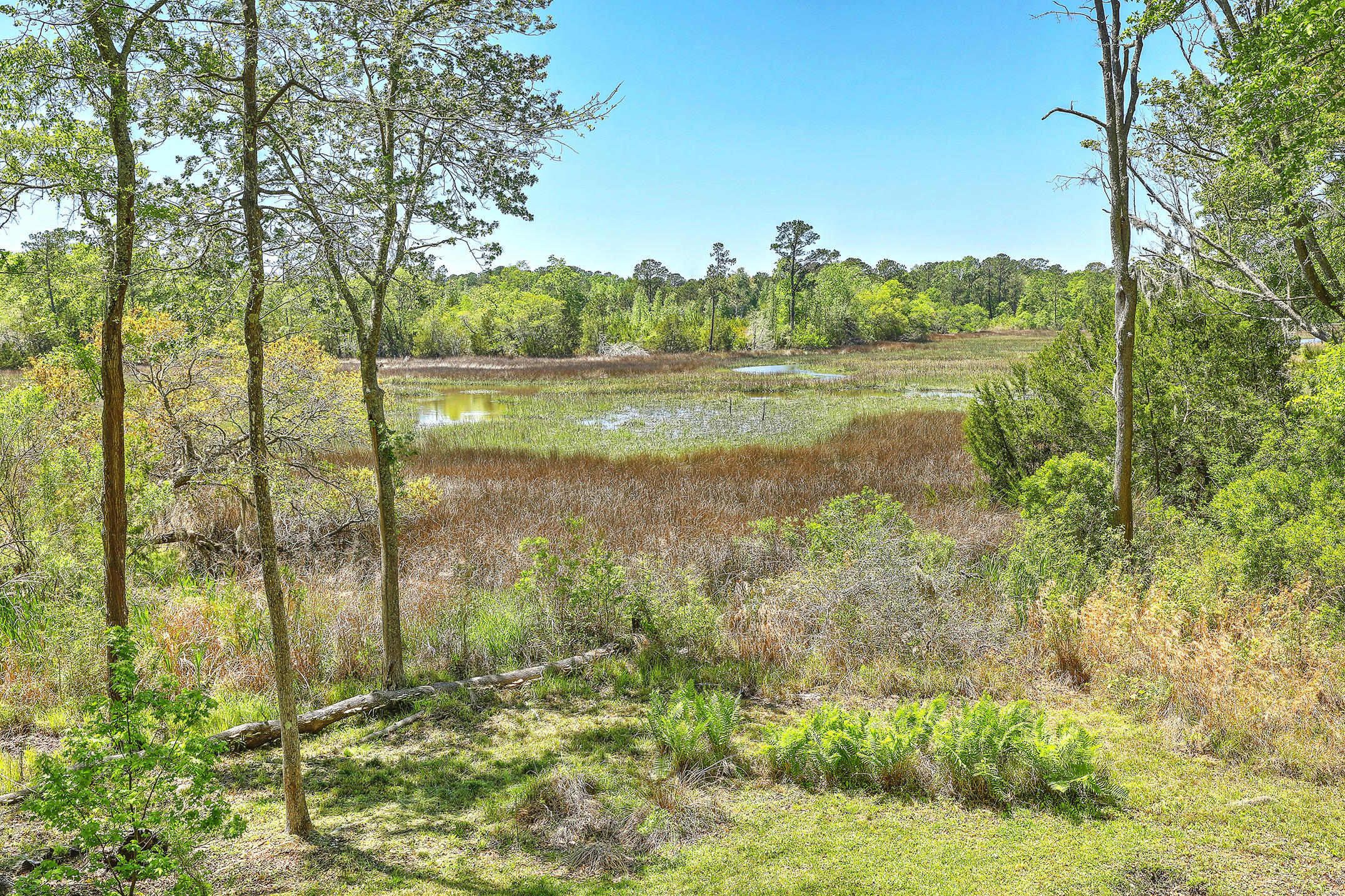 588 Main Road Johns Island, SC 29455 - Photo 46 of 58 1R3A0048_49_50
