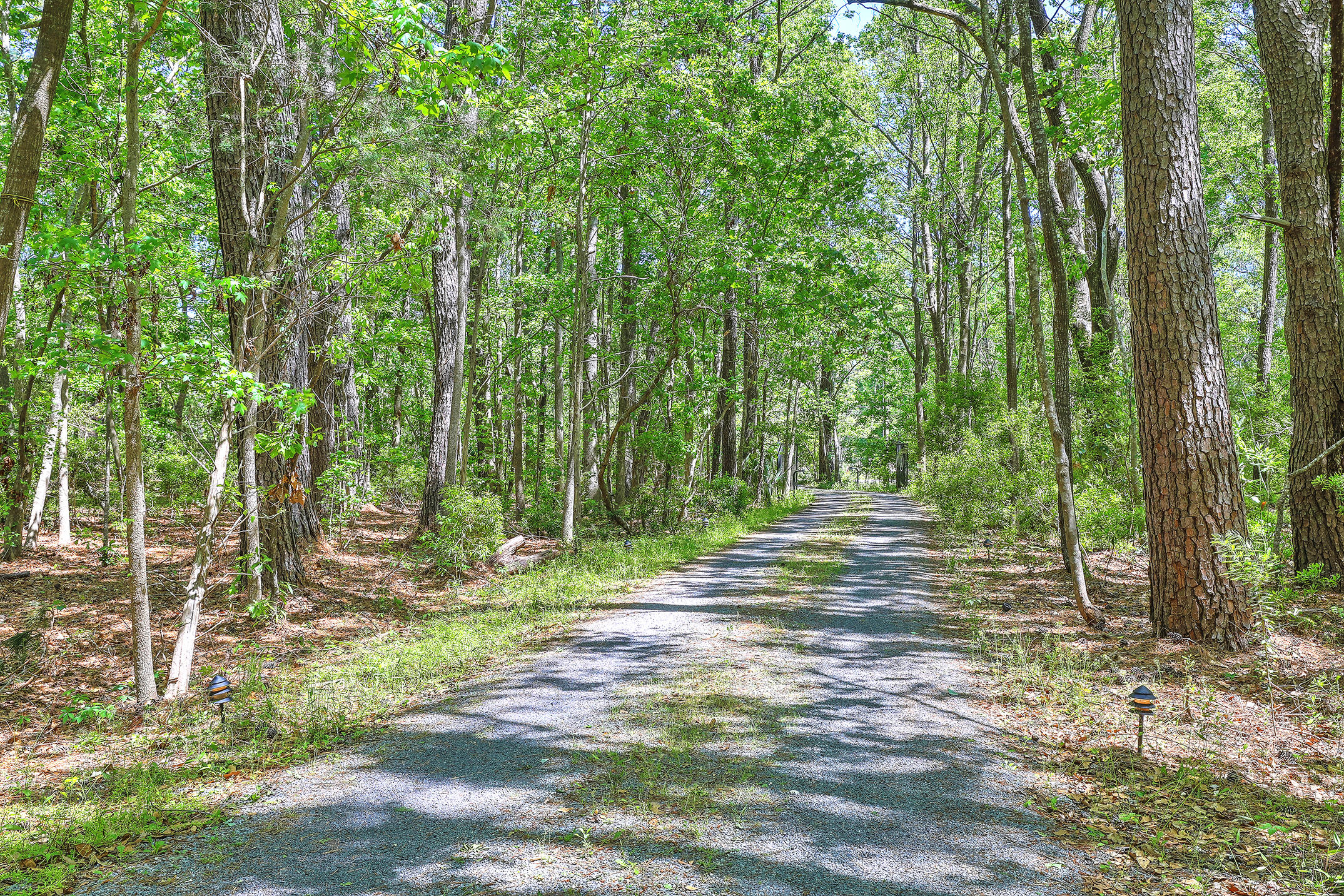 588 Main Road Johns Island, SC 29455 - Photo 7 of 58 1R3A0081_2_3