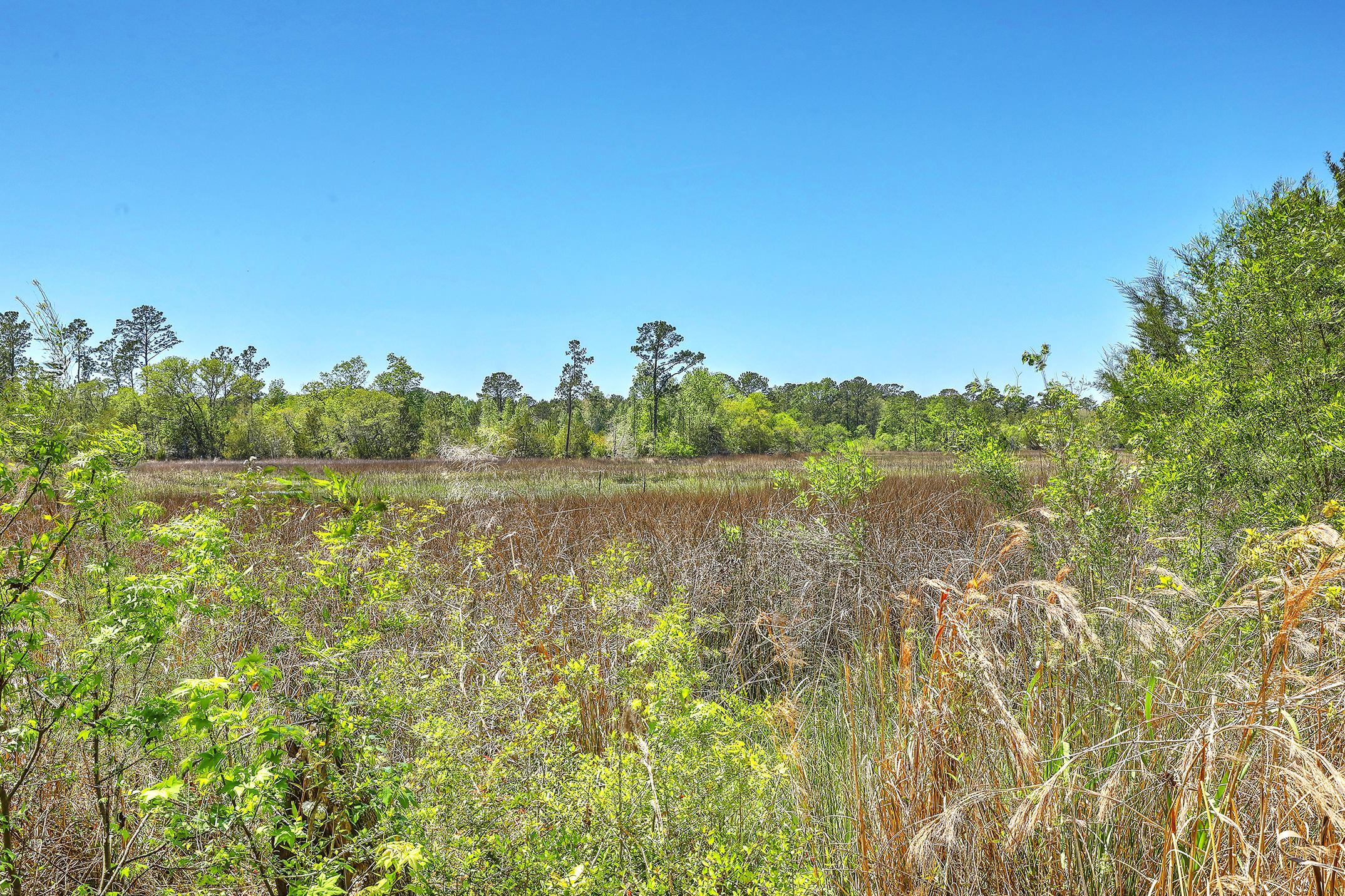 588 Main Road Johns Island, SC 29455 - Photo 10 of 58 1R3A0039_40_41