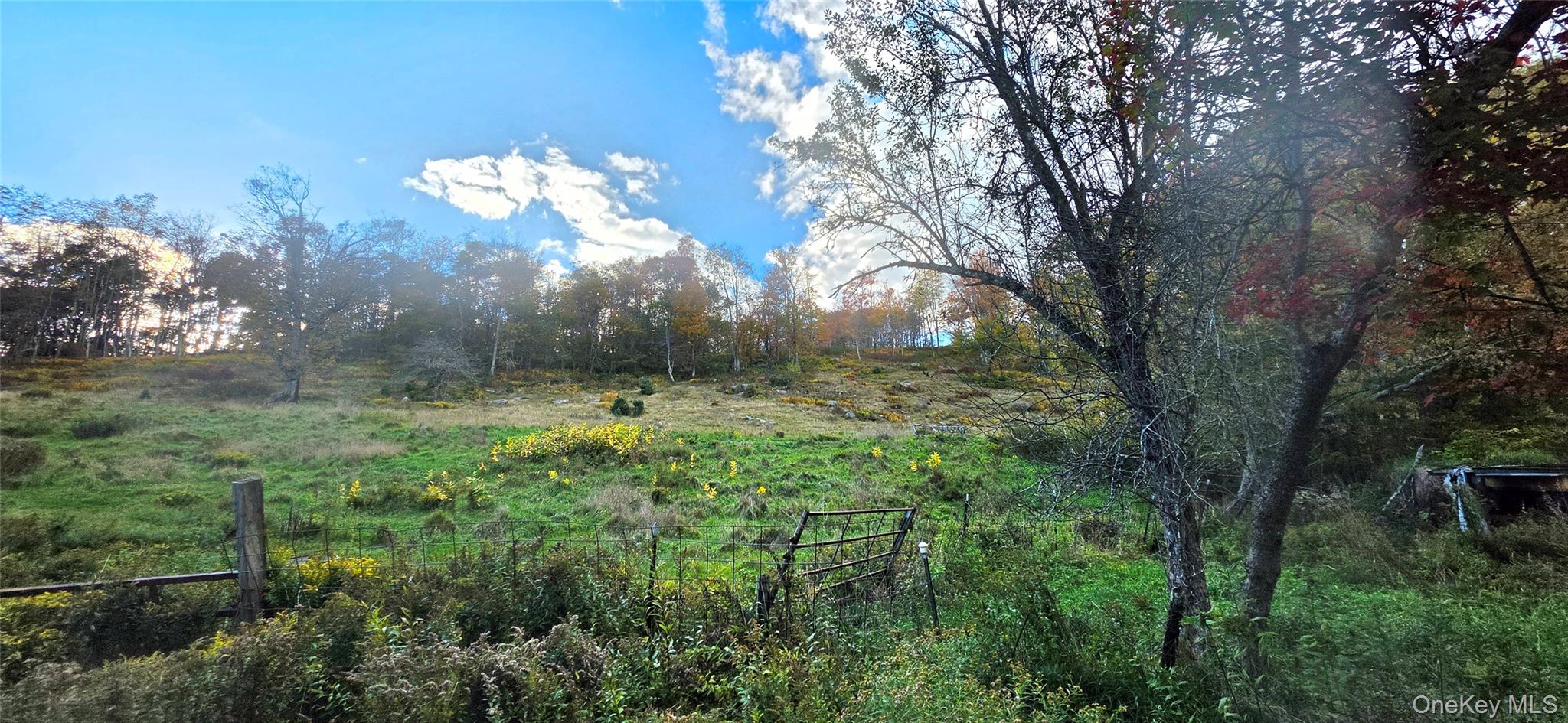 55 Lilly Pond Road Parksville, NY 12768 - Photo 14 of 21 Gallery Image 14