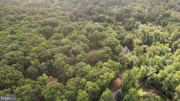 a view of a forest with houses