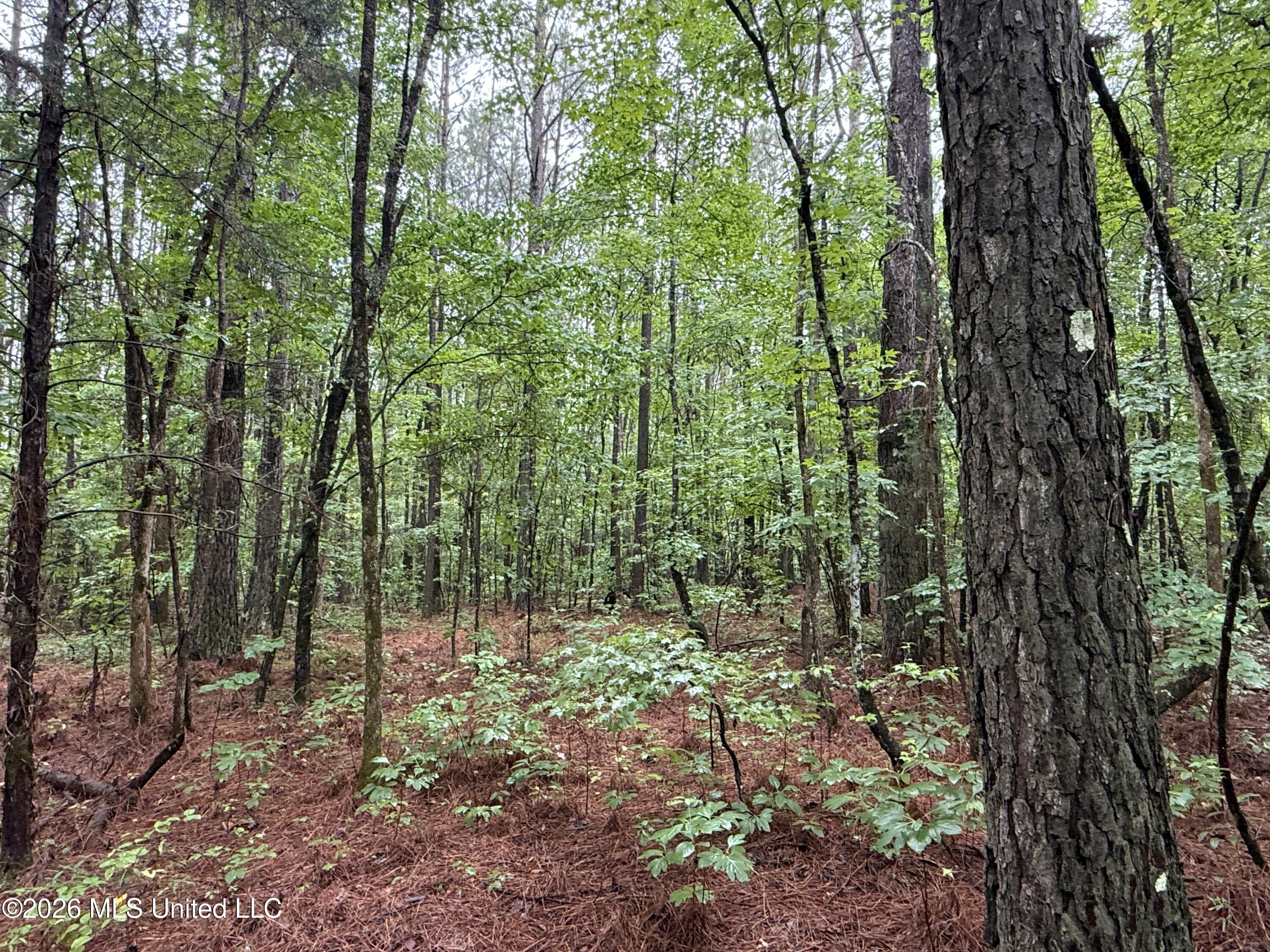 2136 Co Road McCool, MS 39108 - Photo 7 of 29 6