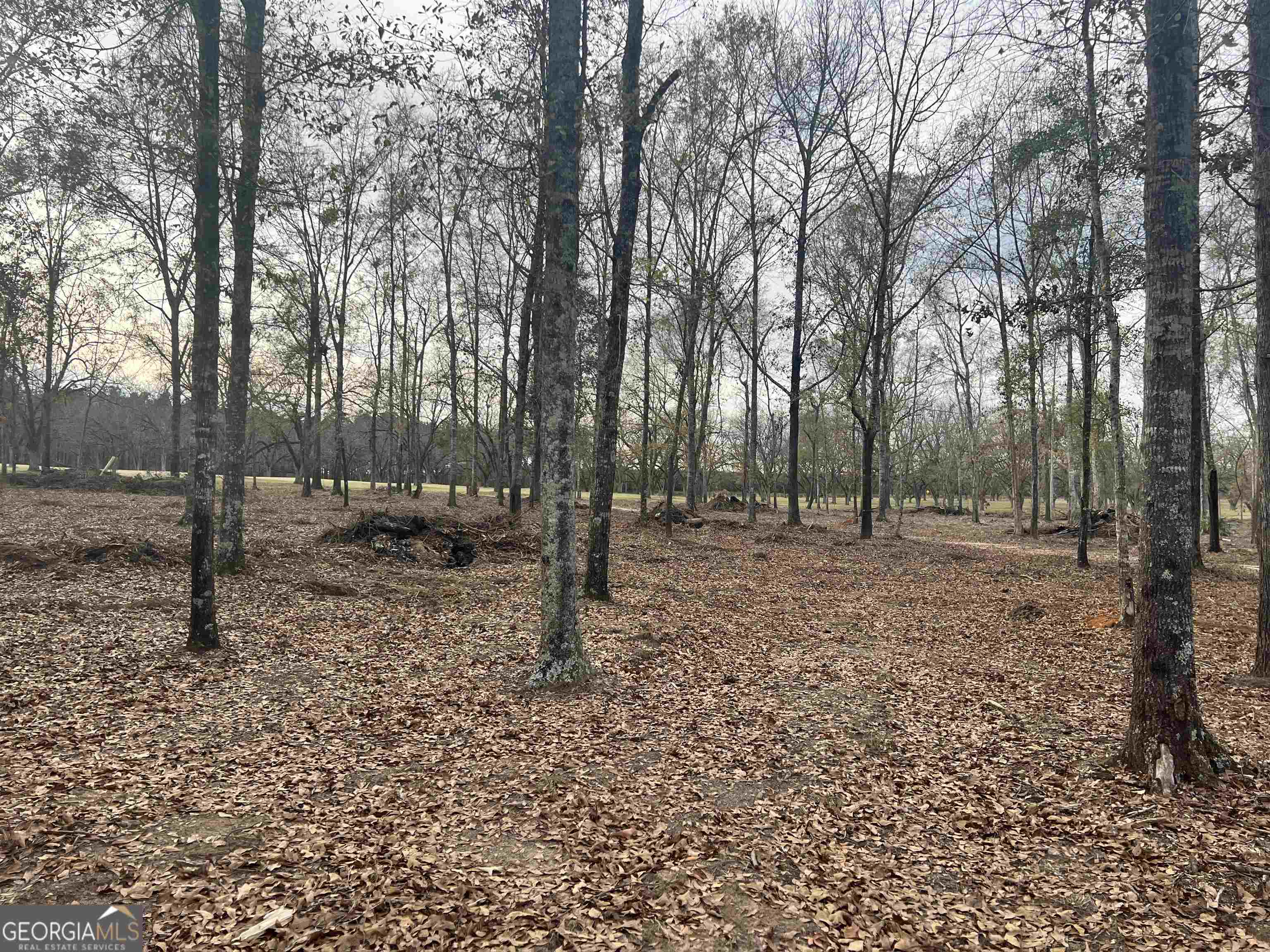 2382 Gallimore Mill Road Jeffersonville, GA 31044 - Photo 95 of 122