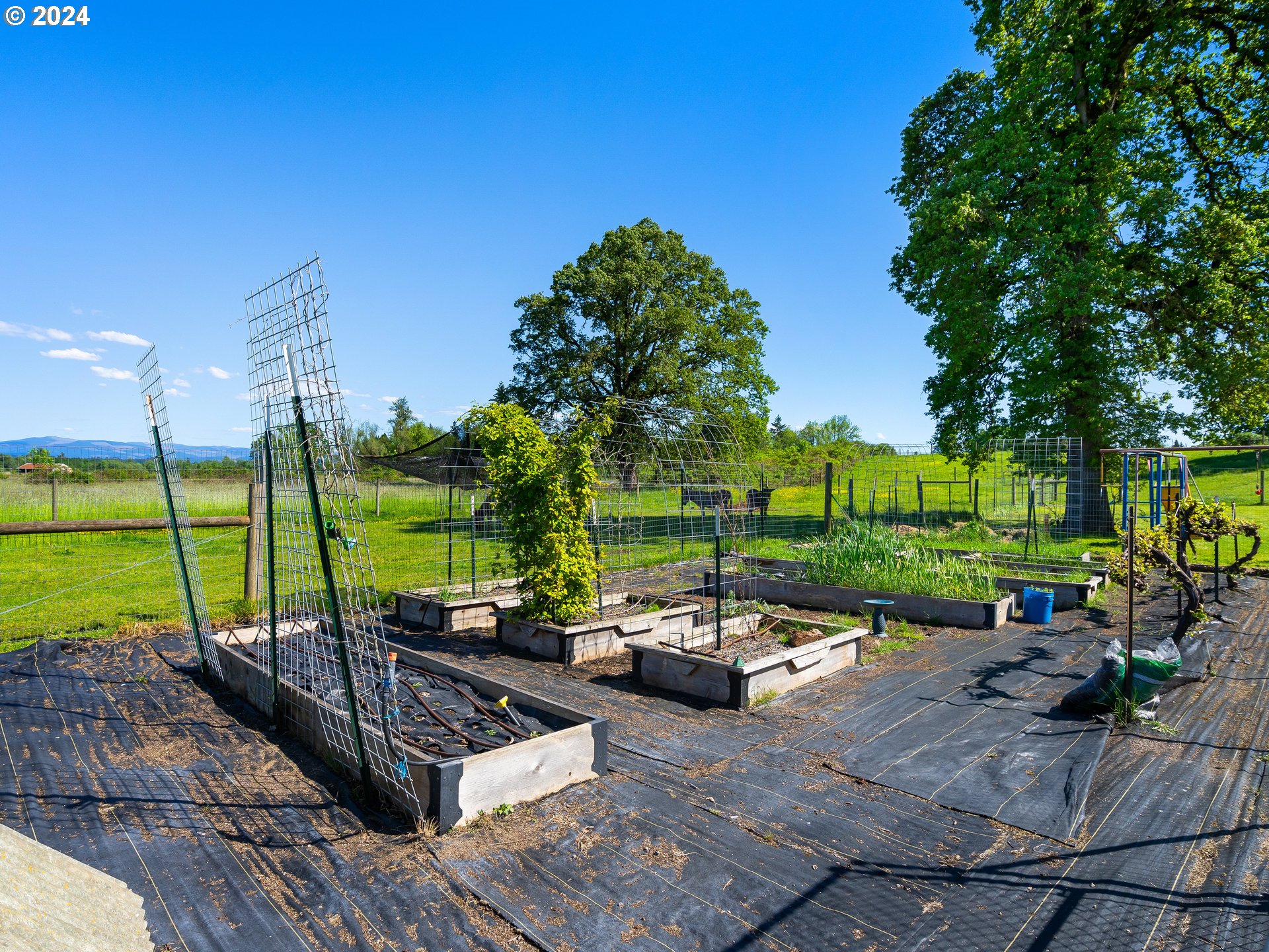12008 South Emerson Road Canby, OR 97013 - Photo 40 of 46 Garden