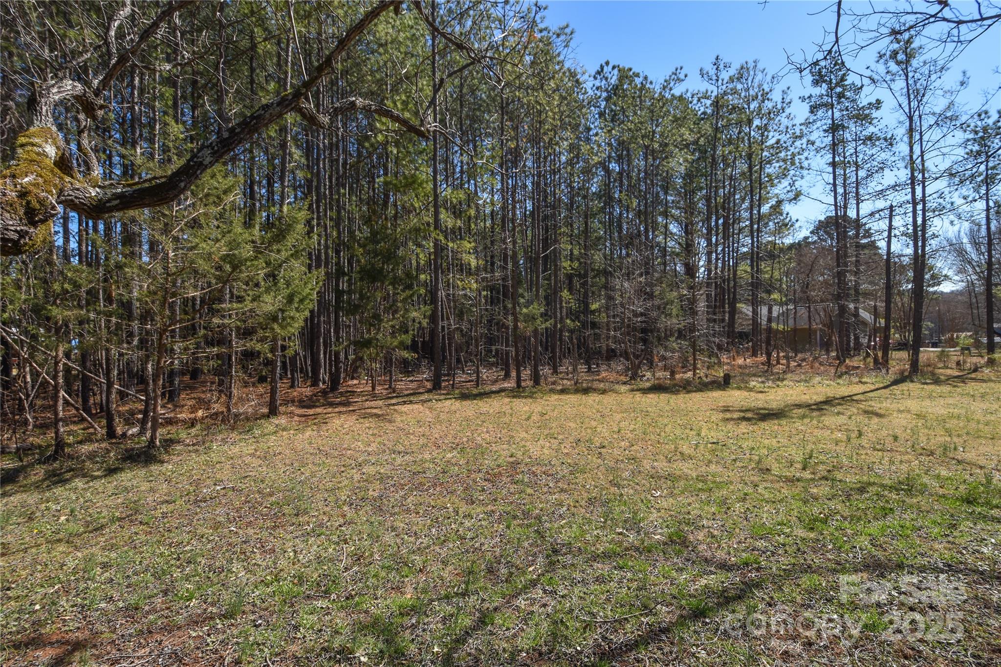 0 McCoy Road Huntersville, NC 28078 - Photo 2 of 8 a view of yard with tree