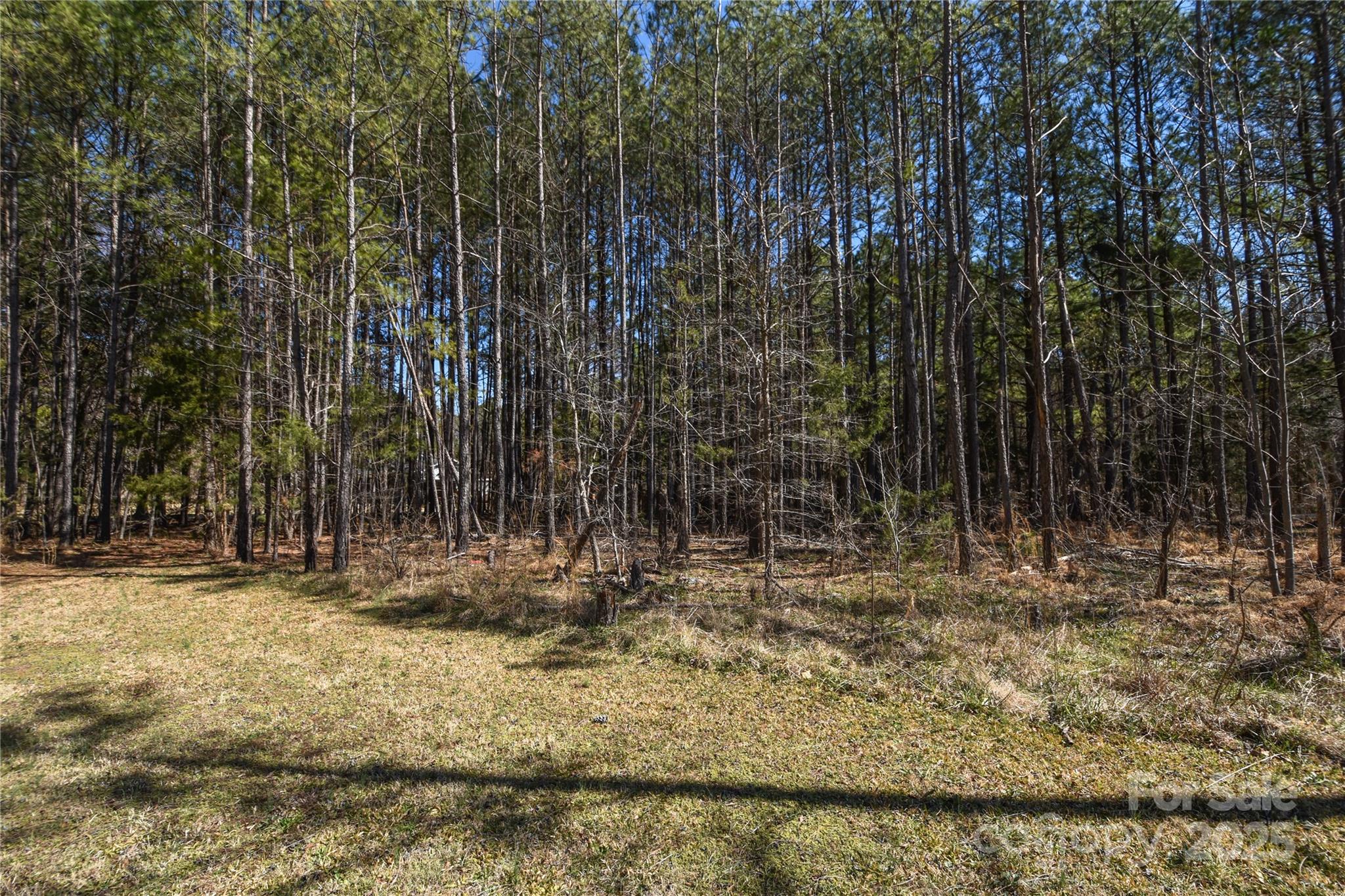 0 McCoy Road Huntersville, NC 28078 - Photo 4 of 8 a view of outdoor space with trees