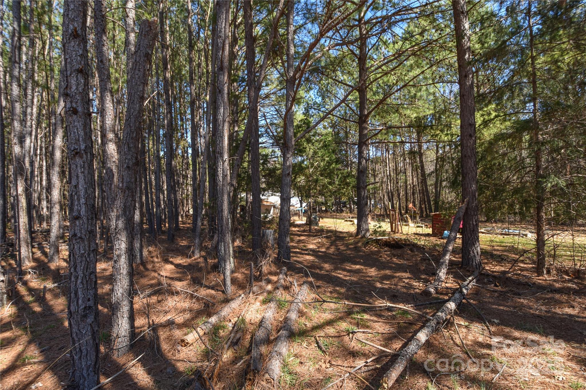 0 McCoy Road Huntersville, NC 28078 - Photo 6 of 8 a view of a forest with trees