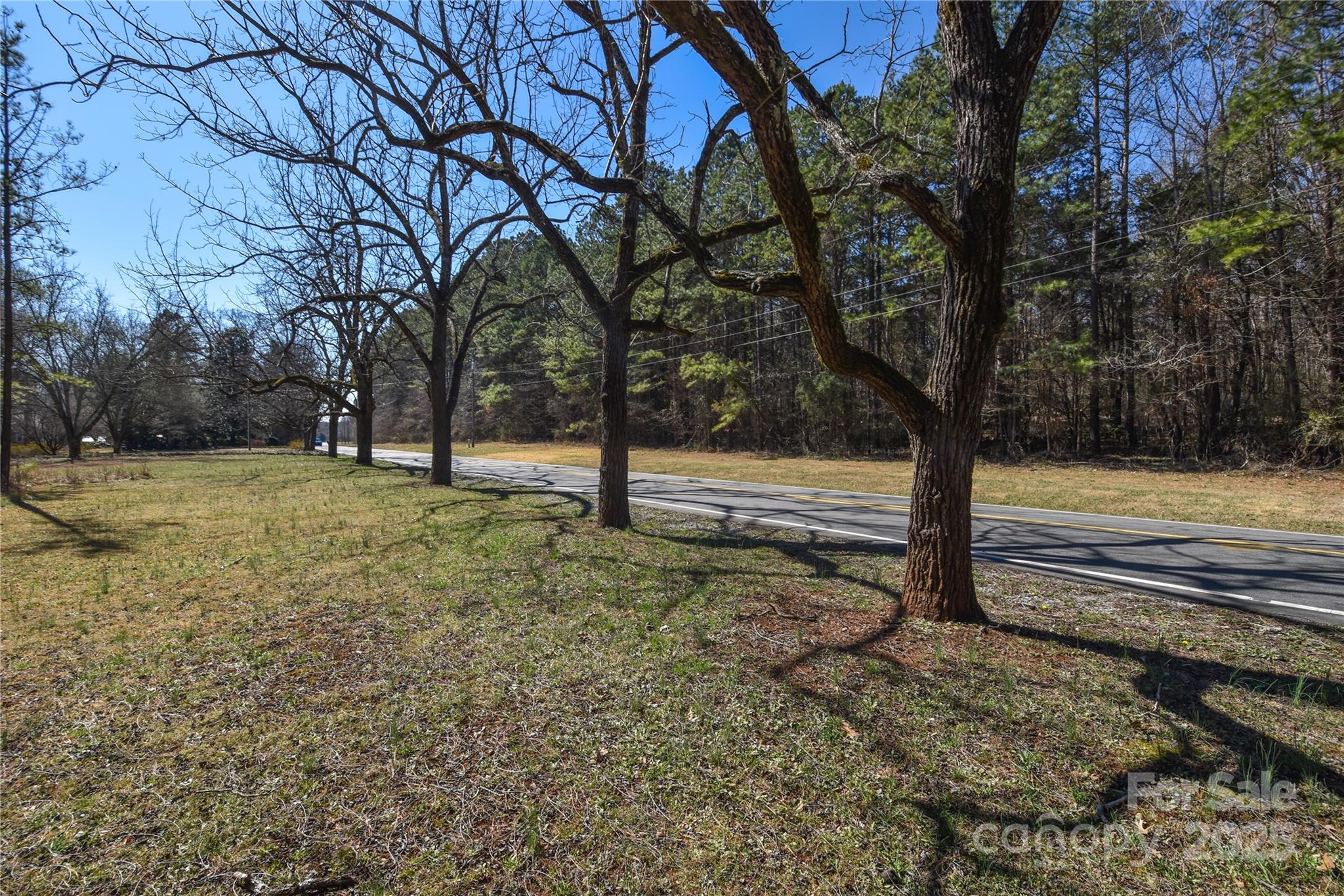0 McCoy Road Huntersville, NC 28078 - Photo 7 of 8 a view of a yard with a tree