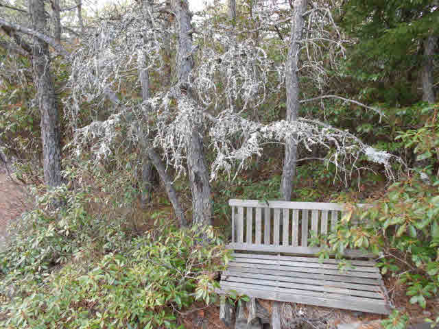 6 Kile Knob Road Franklin, WV 26807 - Photo 6 of 7 a view of a wooden chairs on the deck