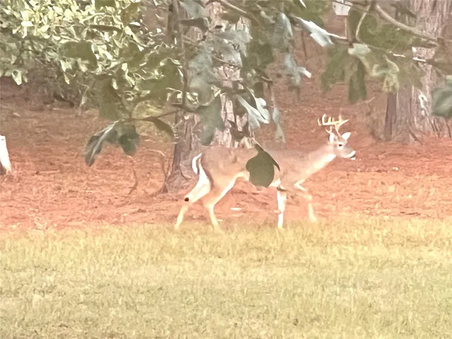 $475,000 | 1079 Schuette Road, New Ulm, TX 78950