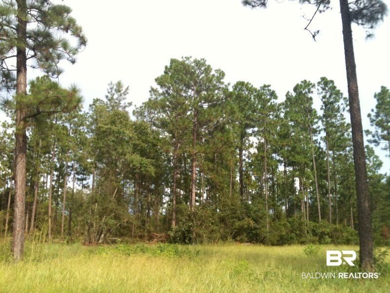 0 Lott Road Citronelle, AL 36522 - Photo 7 of 10