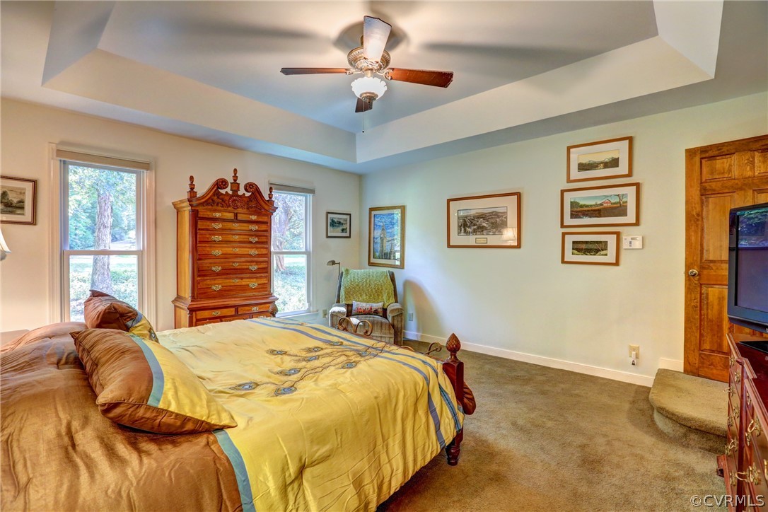 3208 St Stephens Way Midlothian, VA 23113 - Photo 26 of 47 First level master with Tray ceiling and so much s