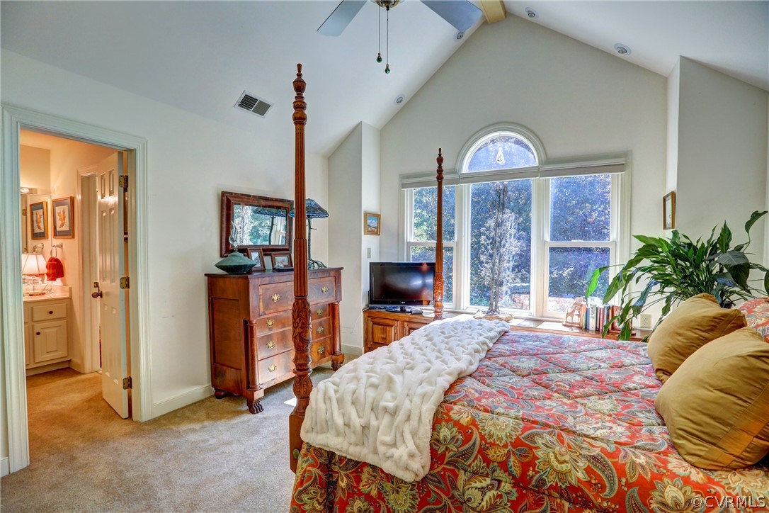 3208 St Stephens Way Midlothian, VA 23113 - Photo 35 of 47 2nd Level Master Suite with cathedral ceiling and