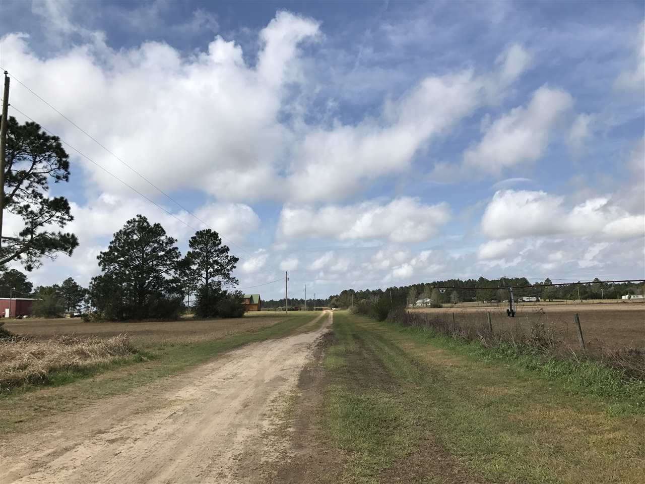 0 Singleton Lane Elberta, AL 36530 - Photo 5 of 5 Singleton Lane
