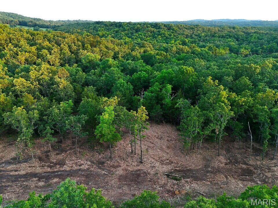 5 Cantrell Road Mansfield, MO 65704 - Photo 14 of 16