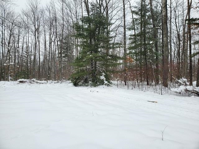 6098 Maple Ridge Road, Unit LOT: 10 Alger, MI 48610 - Photo 10 of 13 Gallery Image 10