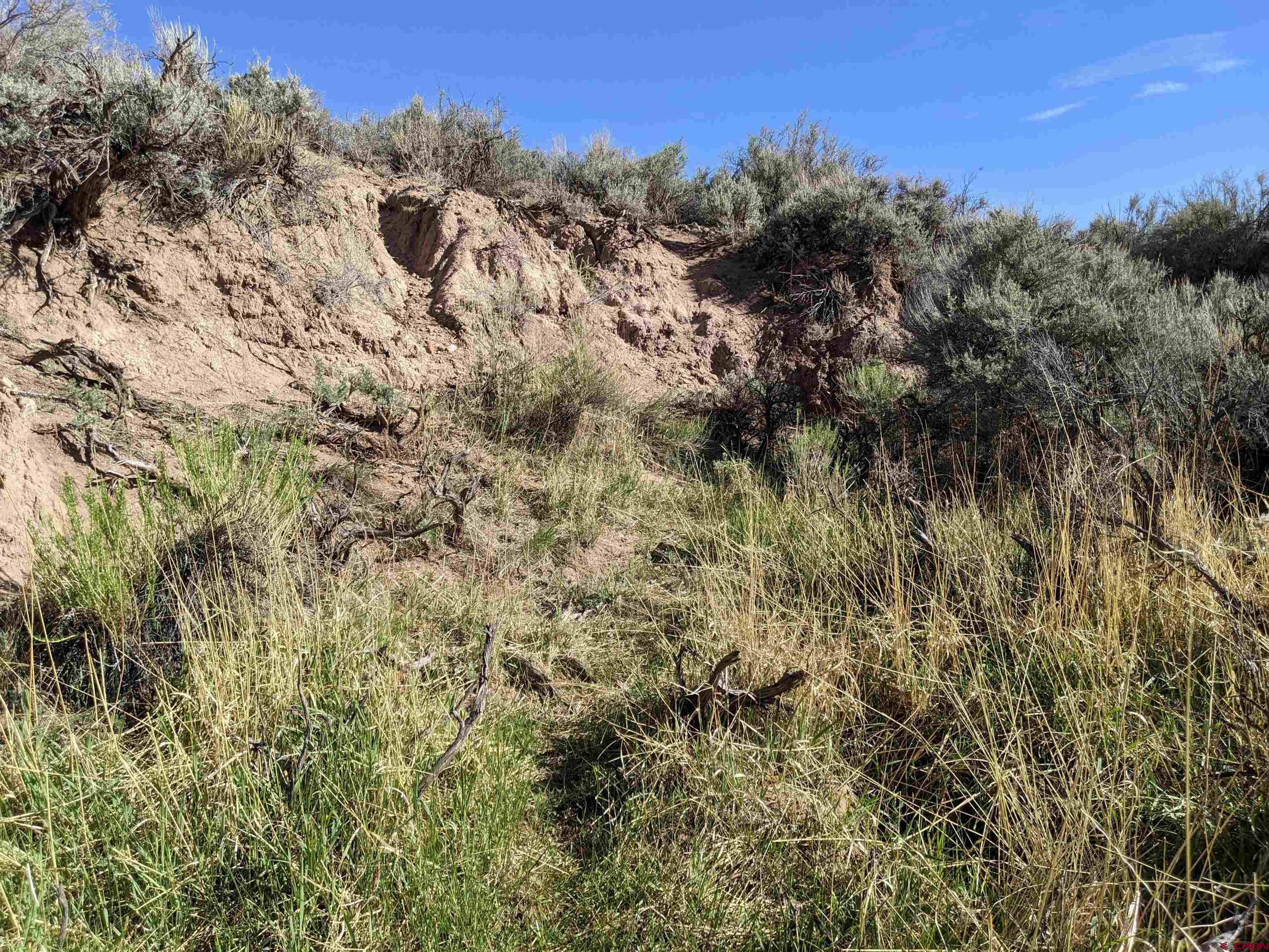 2971 Trinchera Ranch Road Fort Garland, CO 81133 - Photo 16 of 34 Gallery Image 16