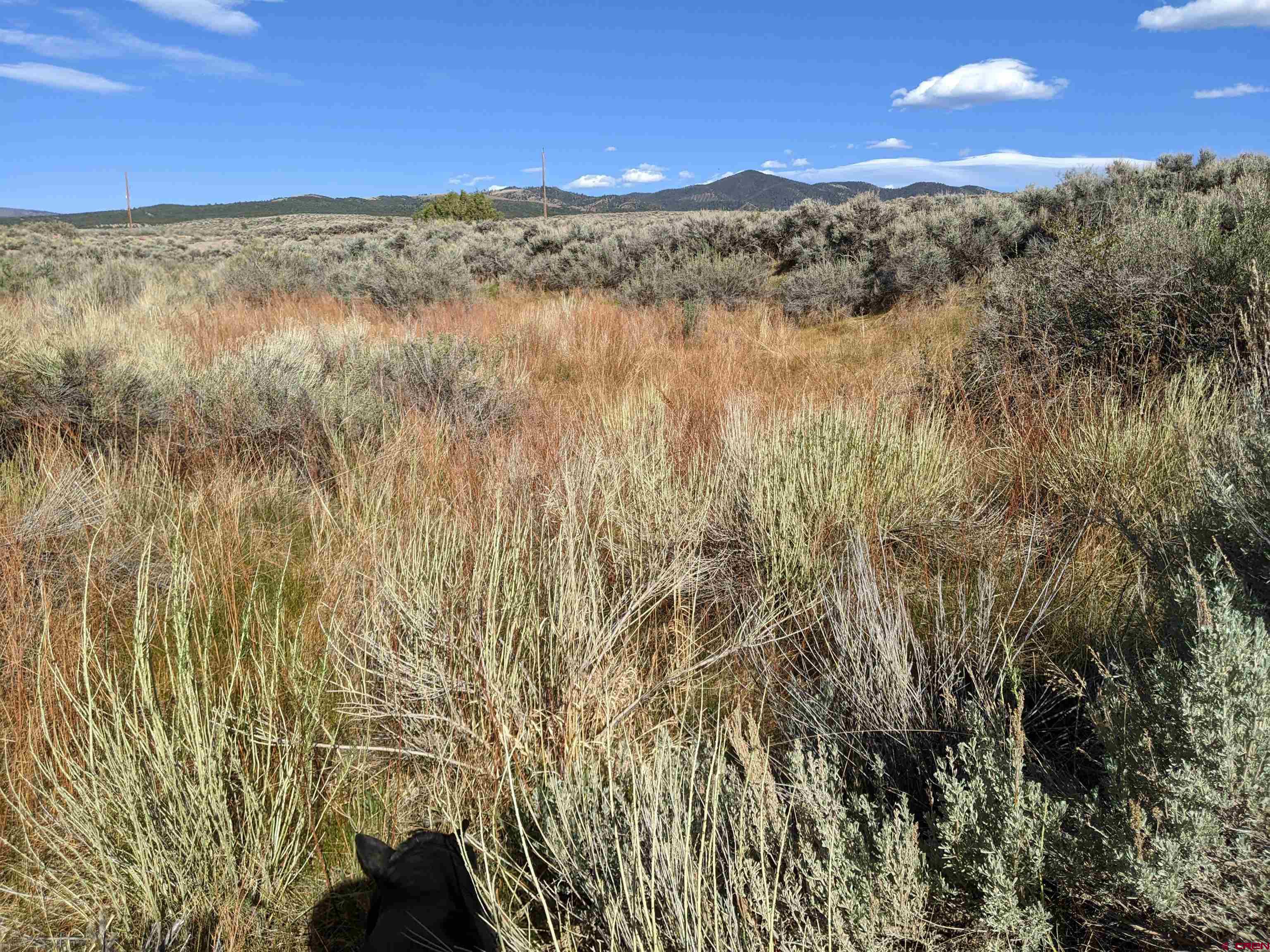 2971 Trinchera Ranch Road Fort Garland, CO 81133 - Photo 24 of 34 Gallery Image 24