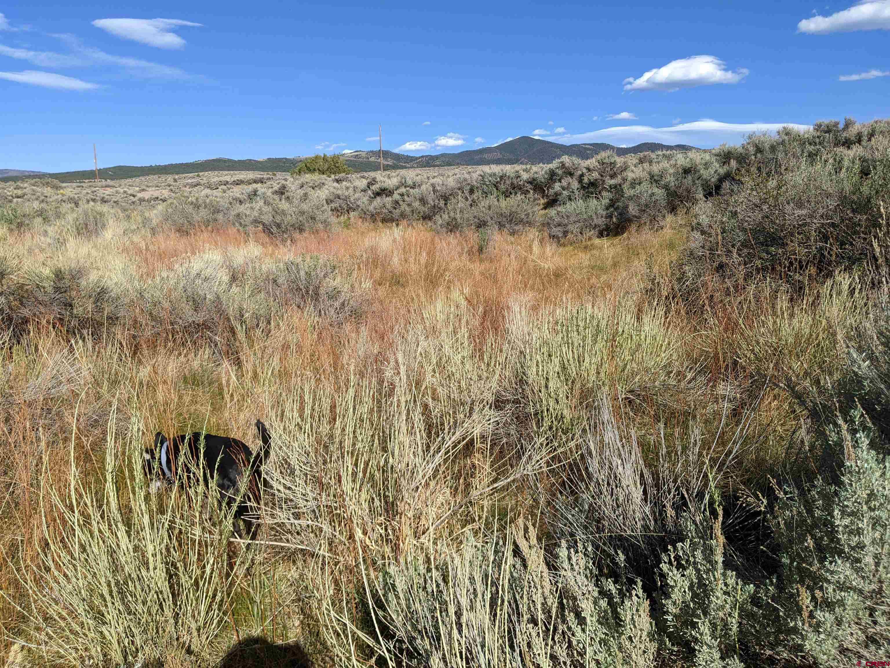 2971 Trinchera Ranch Road Fort Garland, CO 81133 - Photo 25 of 34 Gallery Image 25